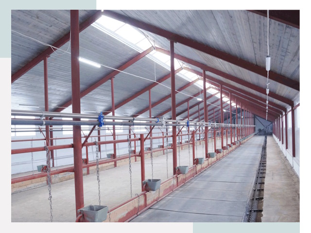 Строительство коровников в Устях-Джегуте от 607 руб.