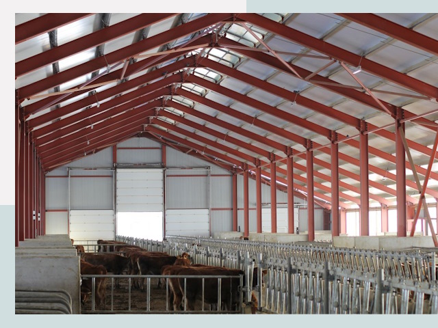 Строительство коровников в Устях-Джегуте