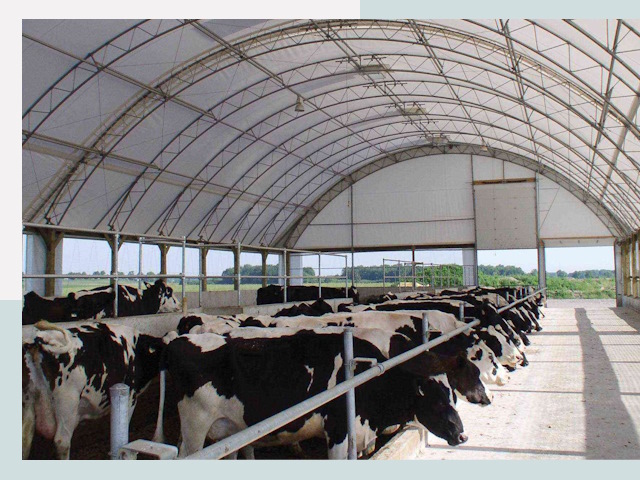 Тентовые коровники в Устях-Джегуте